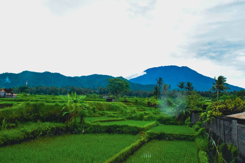 Bali Sunrise Experience by Jeep
