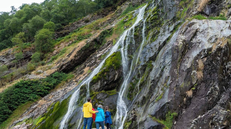 Wicklow & Glendalough Tour from Dublin