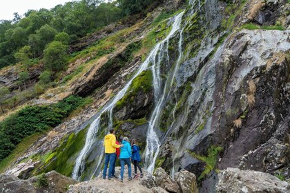 From Dublin: Wicklow, Glendalough, Waterfall & Sheepdog demo