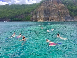 2 Hour Guided Snorkel Excursion Reserve Cousteau
