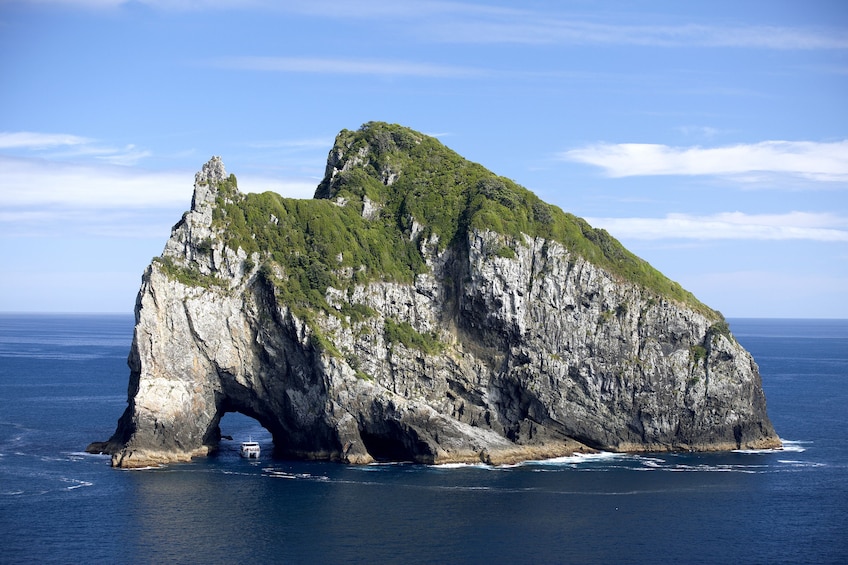 Motukokako Island in New Zealand