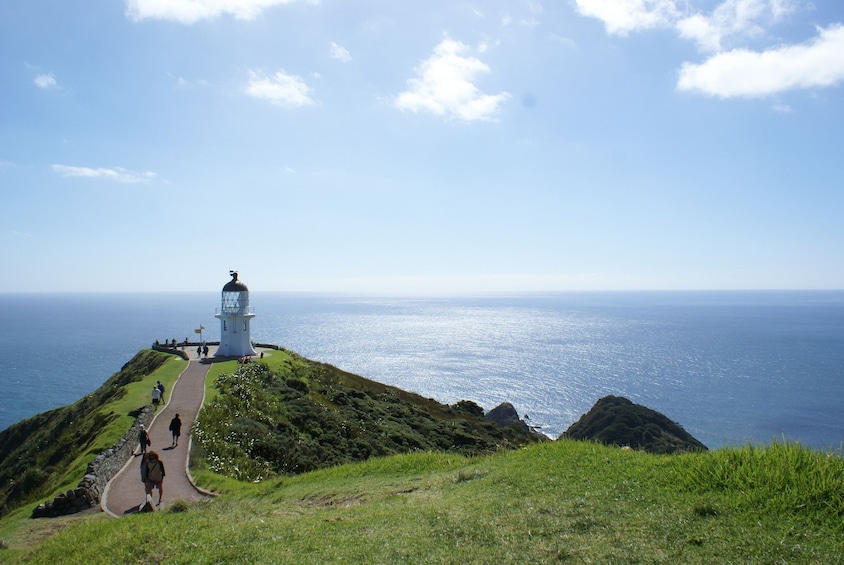 Panoramic view of Cape Reinga in New Zealand