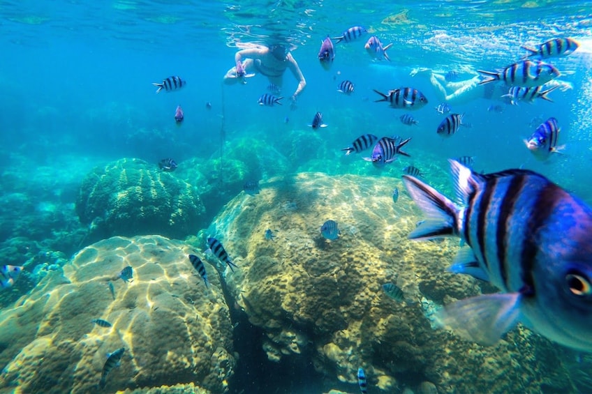 Guest snorkeling in the immaculate water around Wao Island