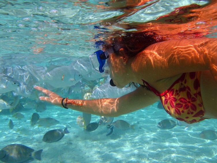 Woman snorkels with fish
