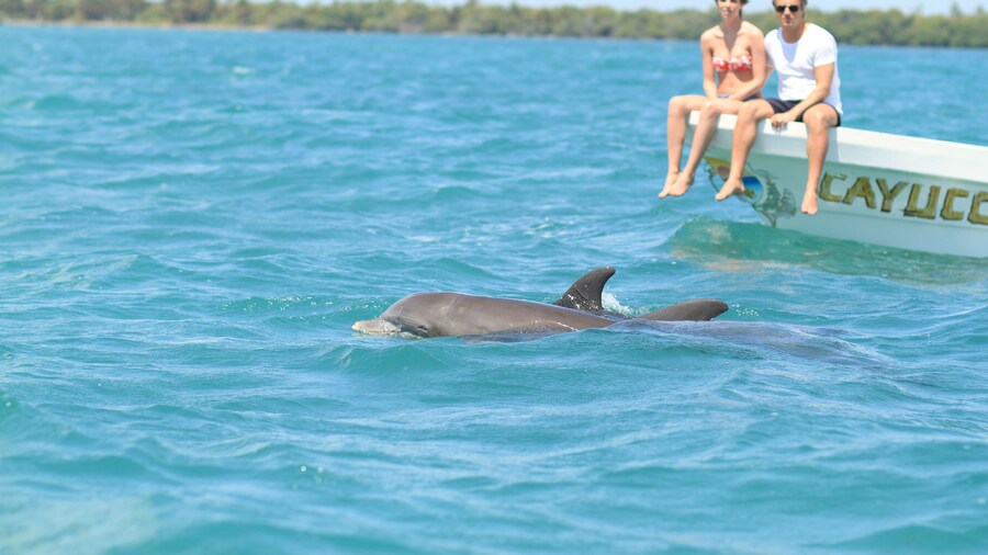 Sian Ka'an Adventure