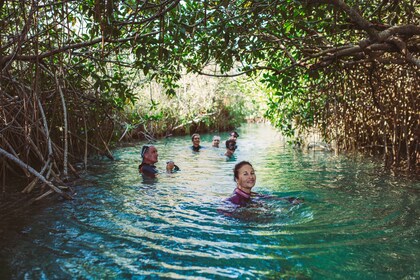 Tulum Ruins & Sian Ka'an Muyil - History, Nature & Relaxing River Float