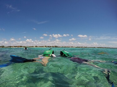 Maya Unterwelt - Schnorcheln im Meer und einzigartige unterirdische Cenote