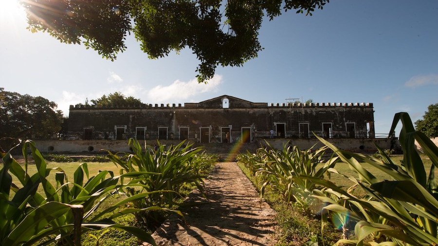 Large estate and grounds in Mexico