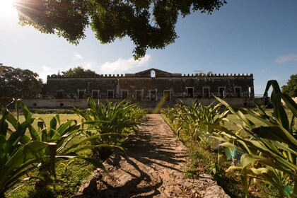 Yaxcopoil Hacienda, Uxmal & Cenote Meridasta käsin