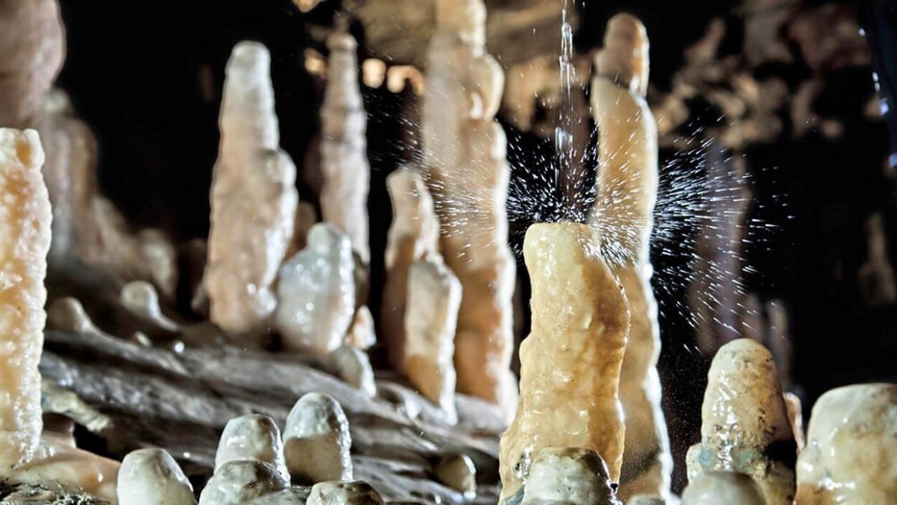 Postojna Caves & Predjama Castle For Dumbies (Private Tour)