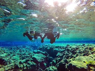 Snorkelling in Silfra with Underwater Photos Included