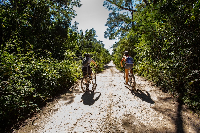 Cenote Trail 