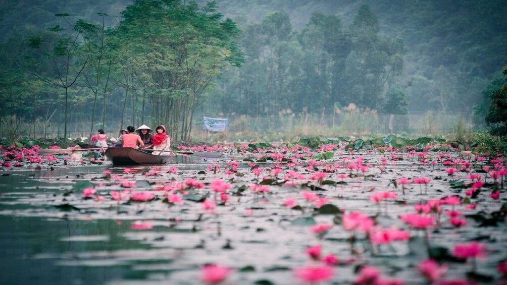 People on a boat on a river covered in flowers near the Perfume Pagoda in Vietnam