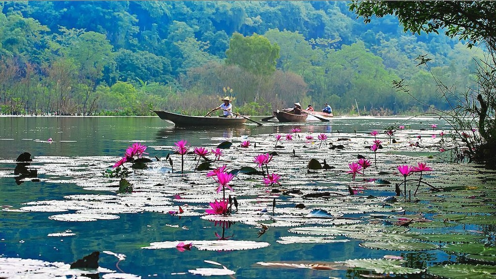Boats on a river covered in lily pads near the Perfume Pagoda in Vietnam