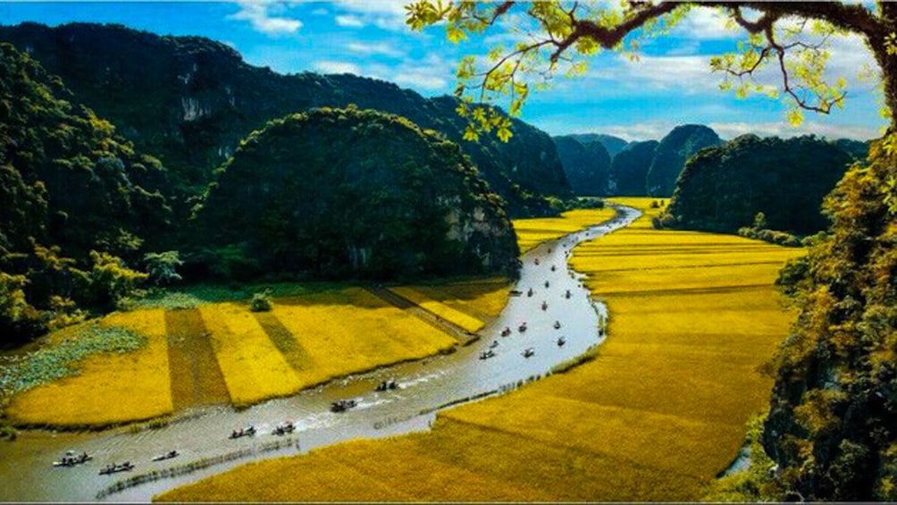 Aerial view of river in Ninh Binh, Vietnam