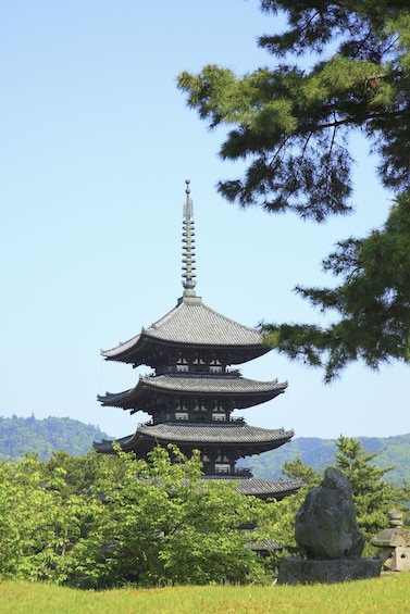 Nara Afternoon Walking Tour