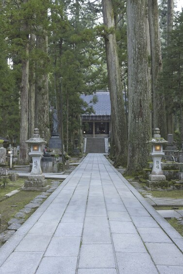 Mt. Koya 1 Day Walking Tour