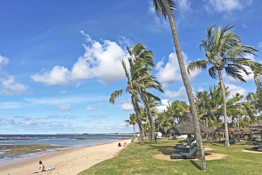 Tour Praia do Forte com Guarajuba by Salvador Receptivo