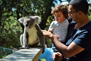 Family Pass (2 adults and 2 children)