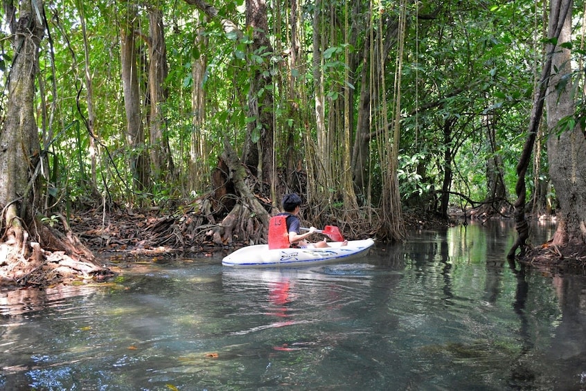 Man kayaks through forest along the Blue Lagoon at Klong Sra Kaew