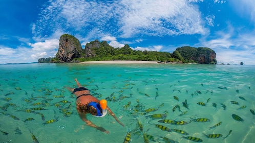 Phi Phi Islands Full Day Tour From Phi Phi by Big Boat 
