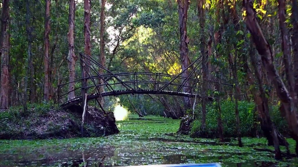 Boat floating through Tra Su Cajuput Forest