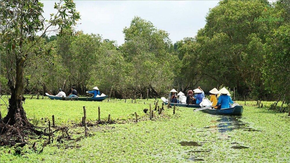 3-Day Mekong Delta and Tra Su Sanctuary Tour 