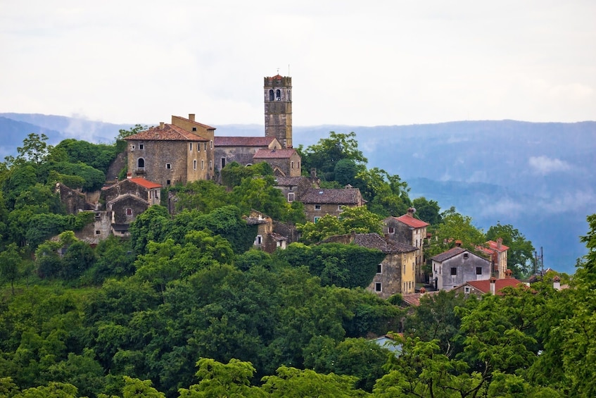 Private Istria Day trip from Zagreb