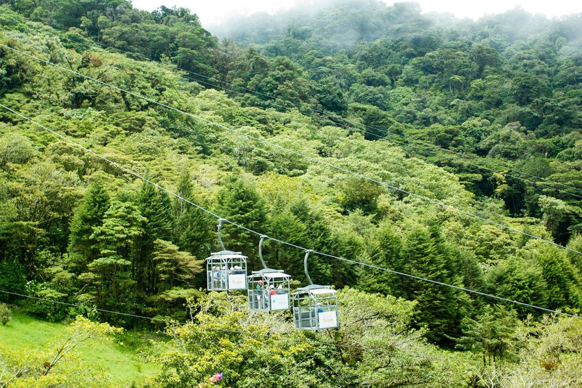 Sky Walk- Sky Tram and Sky Trek From Monteverde
