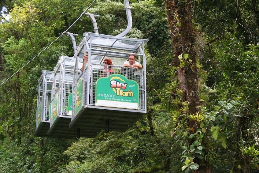 Sky Walk- Sky Tram and Sky Trek From Monteverde
