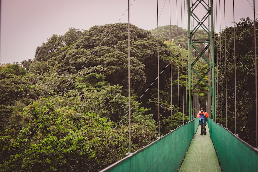 Sky Walk- Sky Tram and Sky Trek From Monteverde