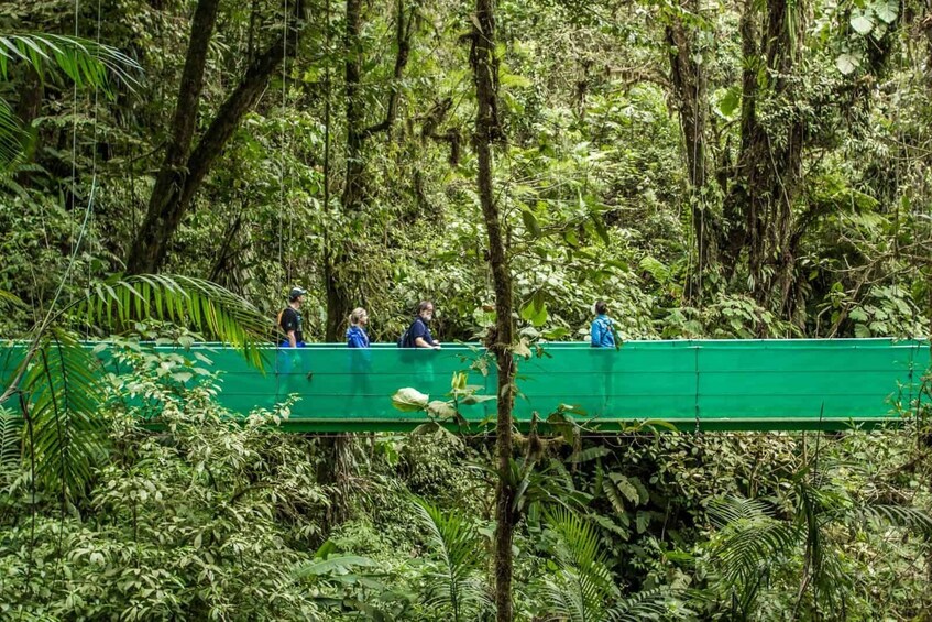 Sky Walk with Pick Up From Monteverde