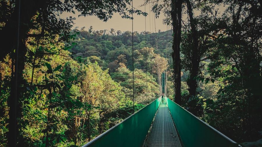 Sky Walk From Monteverde