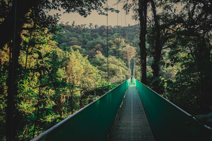 Sky Walk From Monteverde