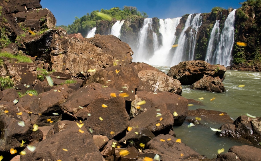Brazilian Side of the Falls - All Tickets Included
