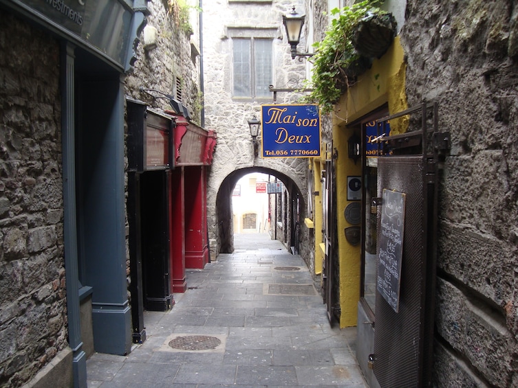 Wicklow Mountains, Glendalough and Kilkenny Day Tour