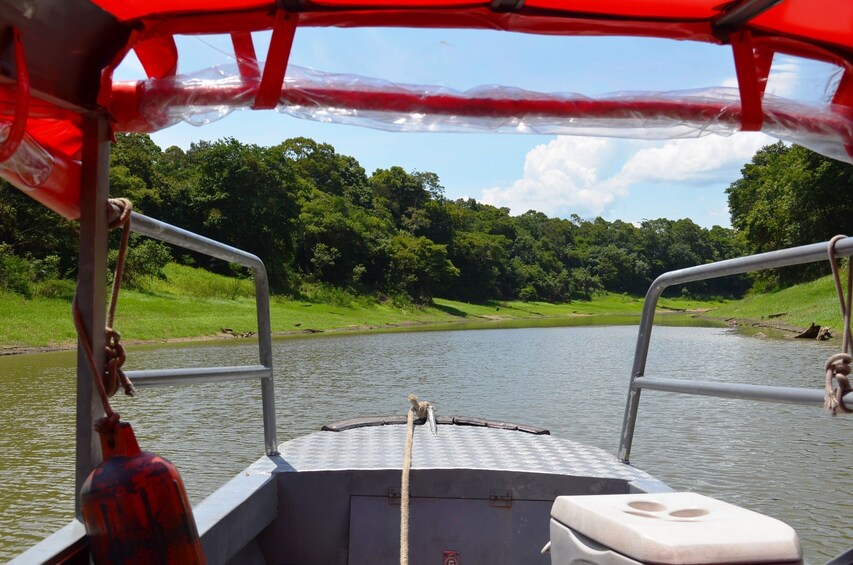 Speed boat in Anavilhanas