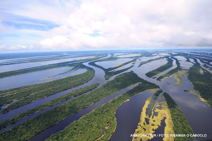 Anavilhanas Archipelago Walking Tour