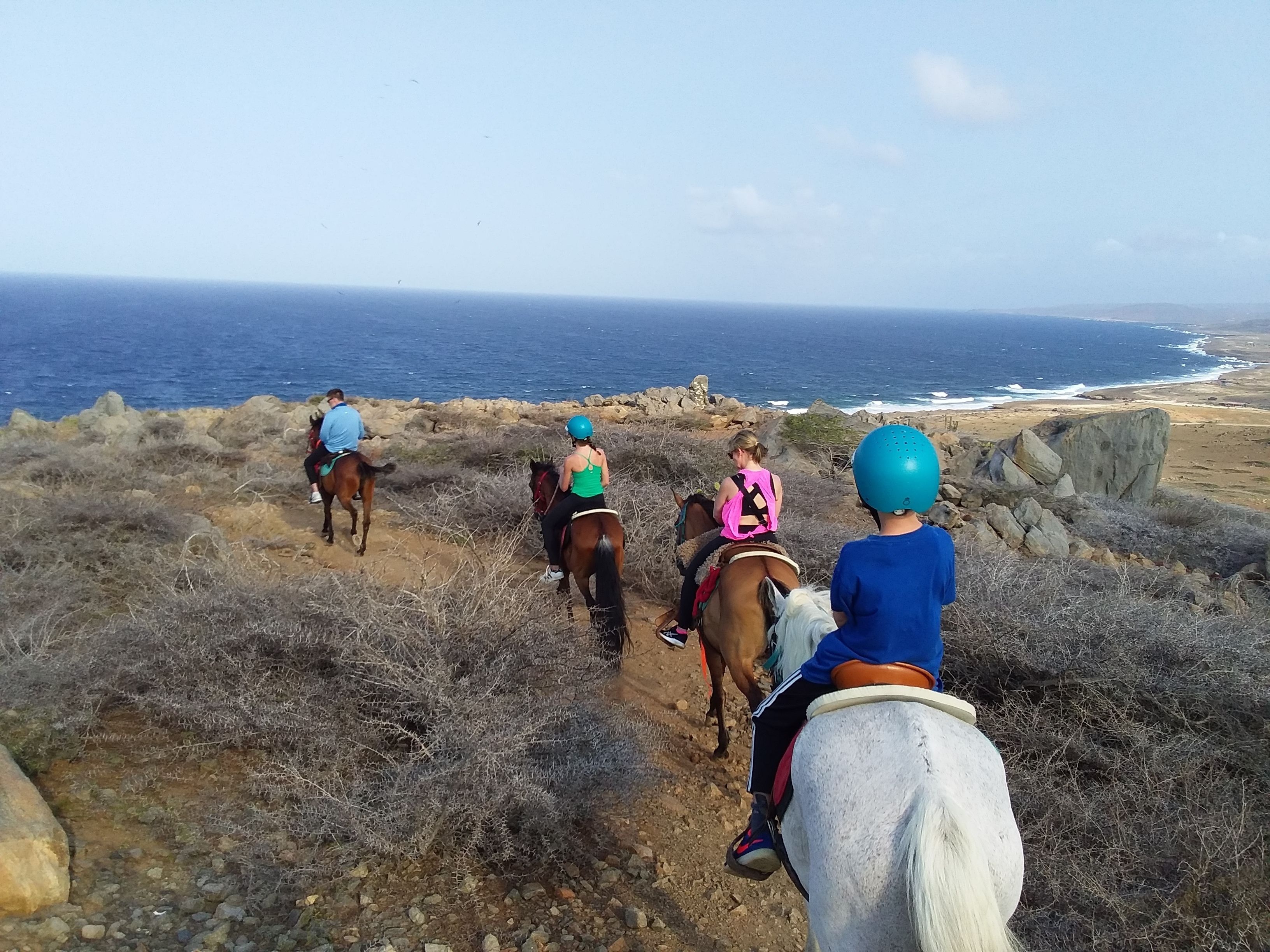 Horseback Riding Santa Cruz Santa Cruz Horseback Riding Lessons