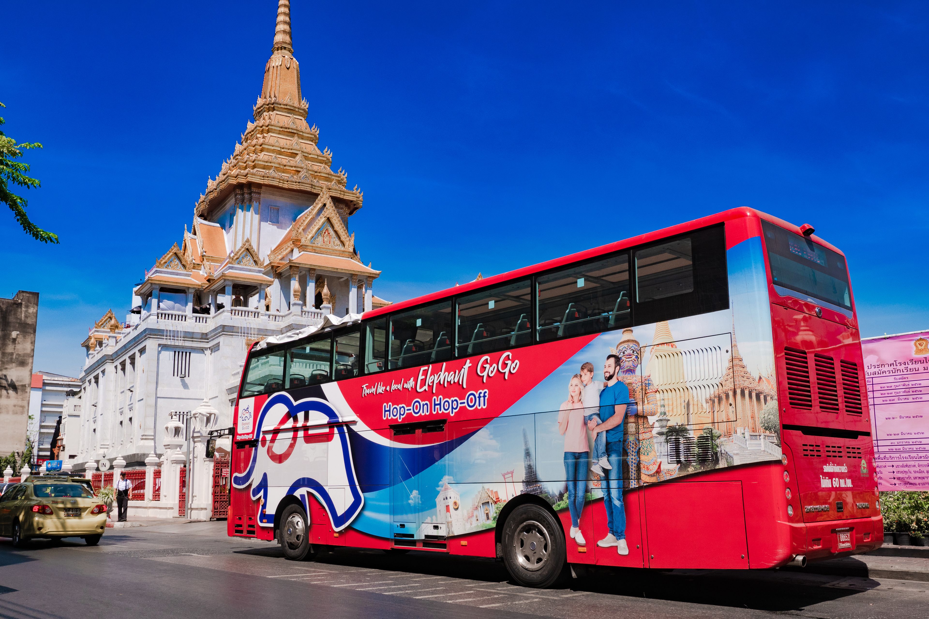 elephant bus tours