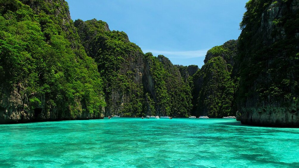 Early Bird Phi Phi Islands Tour From Phi Phi by Speedboat