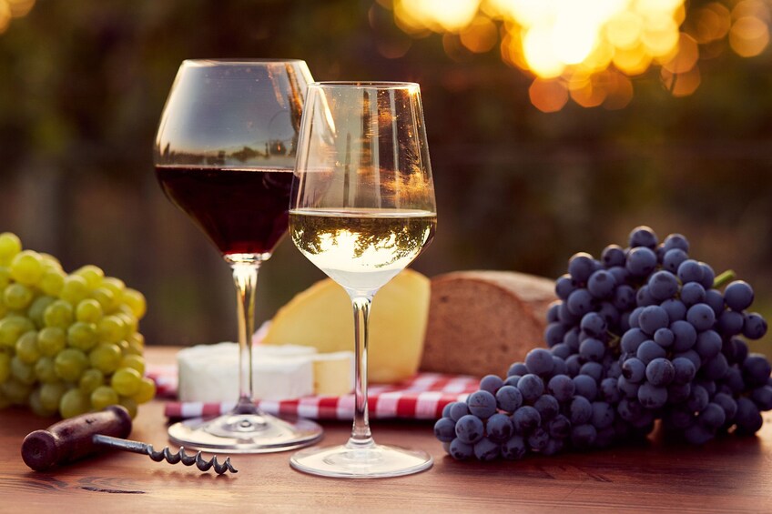 A world of wine-tasting in Nemea