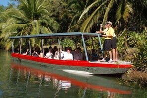 Damas Island Mangrove Boat Trip