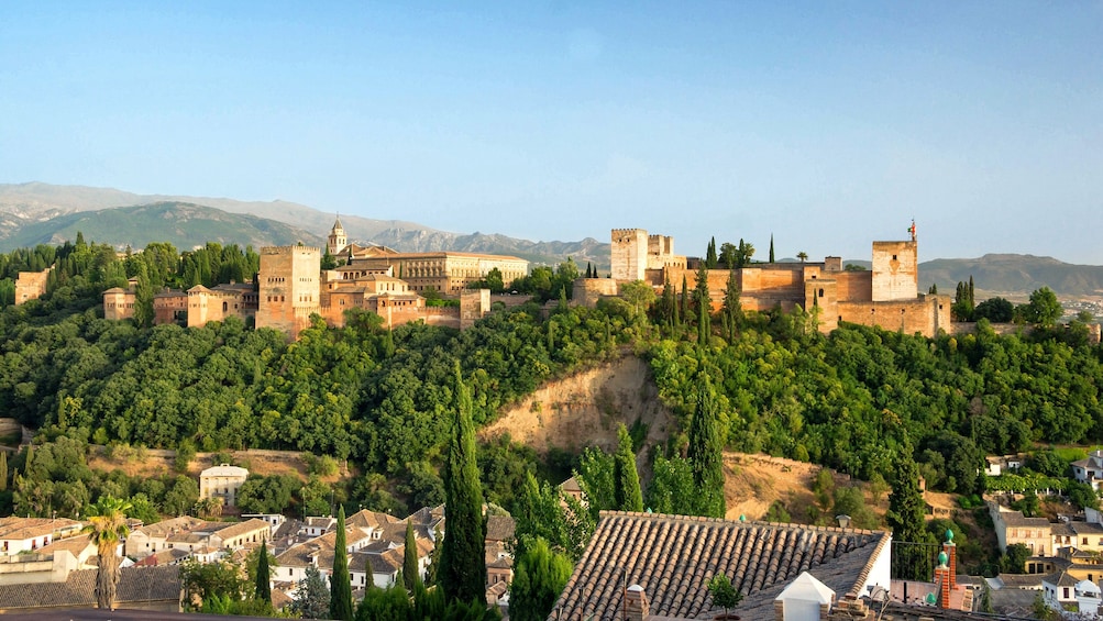 Granada: Alhambra and Nasrid Palace Guided Tour