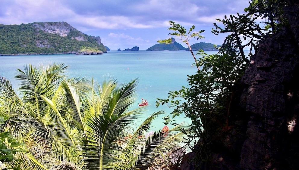 View through the trees of the Mu Koh Angthong National Marine Park