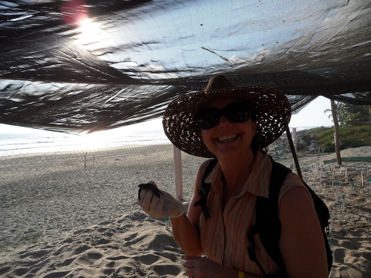 Zihuatanejo Baby Sea Turtle Release Eco Adventure