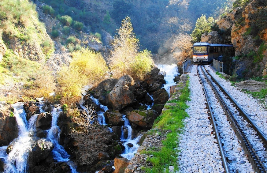 Explore nature & history in Kalavryta