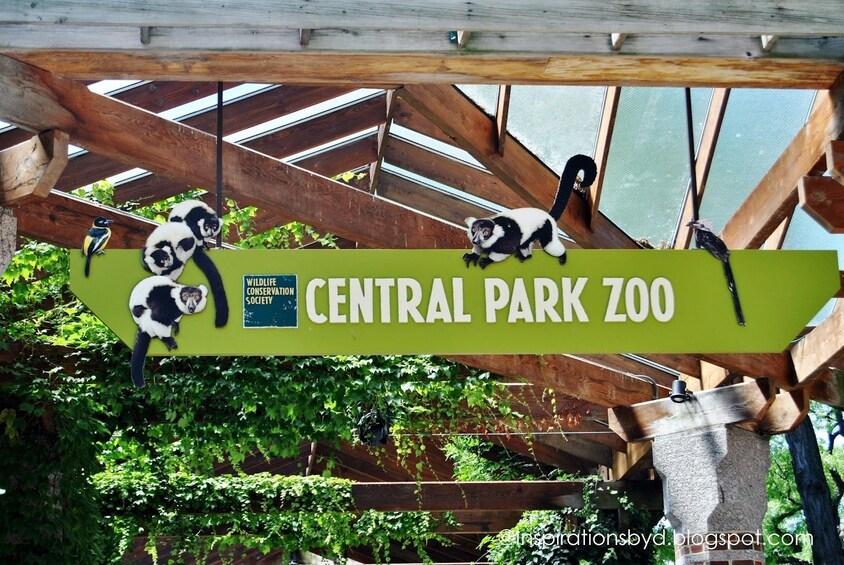 See 30 New York Sights Walking Tour & Visit Central Park Zoo