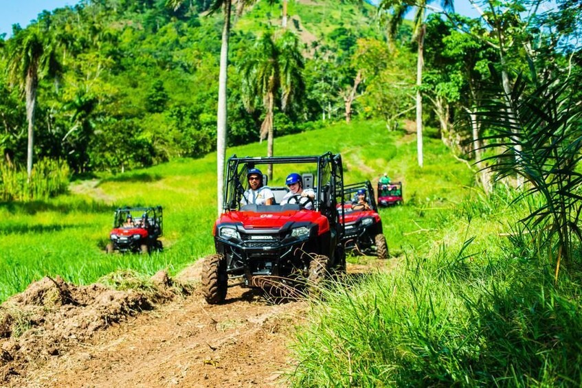 Jungle Buggies & Monkeyland Adventure from Punta Cana