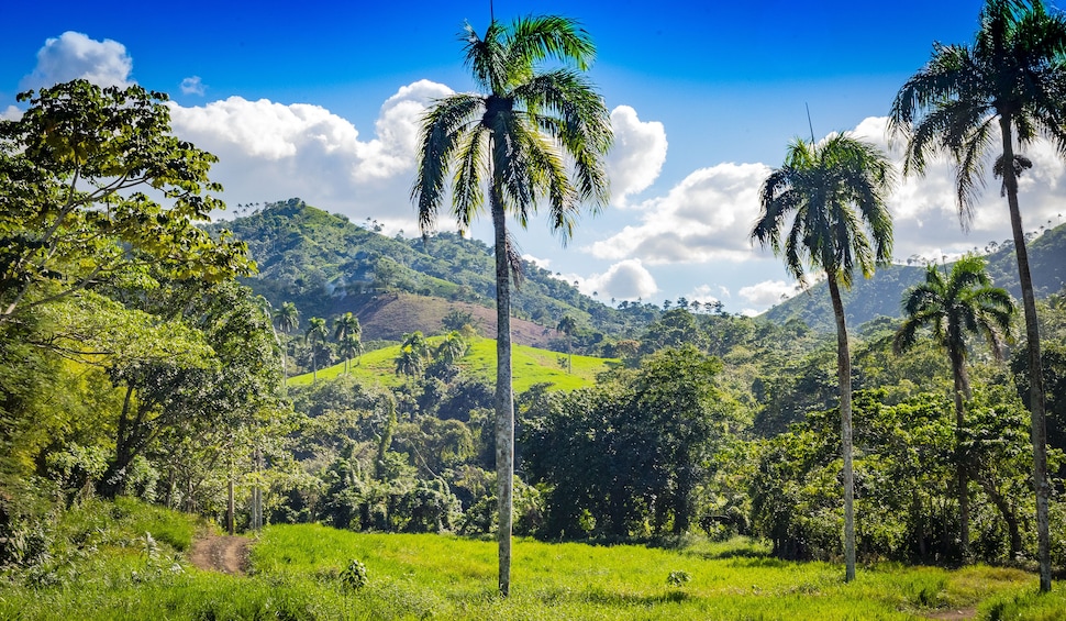 Jungle Buggies & Monkeyland Adventure from Punta Cana